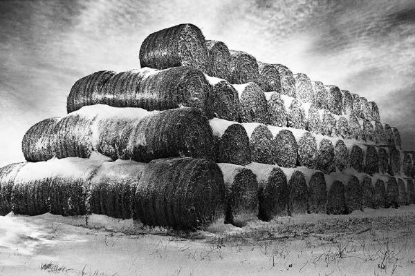 All Stacked Up For Winter (%!s(<nil>)) - 