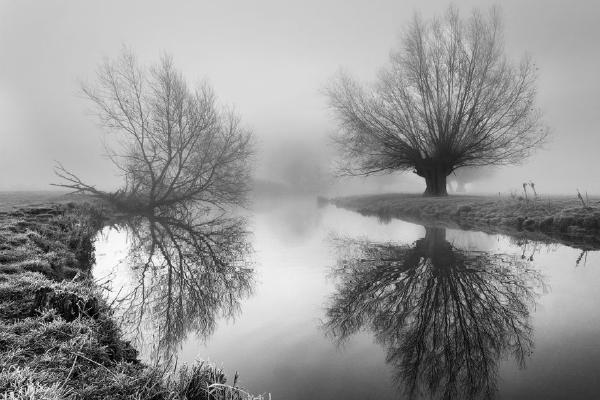 Misty Stour (%!s(<nil>)) - 