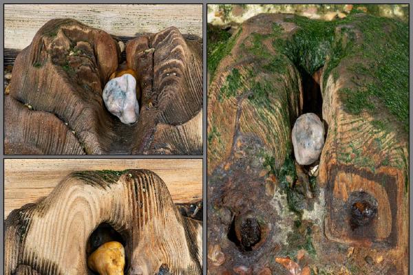 Stones caught in the sea defence (%!s(<nil>)) - 