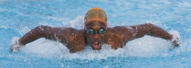 Butterfly Man (%!s(<nil>)) - 