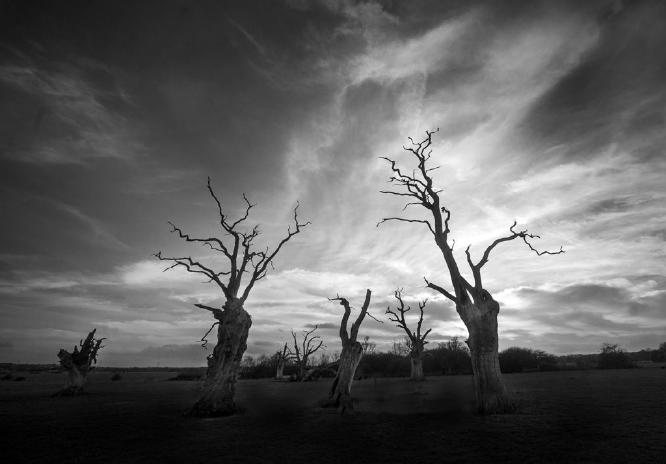 Mundon Oaks (%!s(<nil>)) -