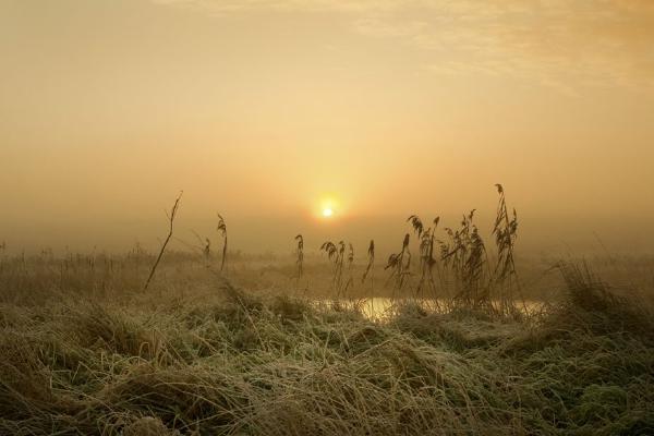Winter Sunrise Mersea Island - 2 (%!s(<nil>)) - 