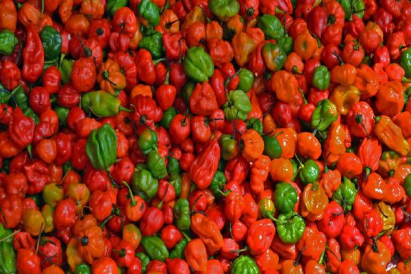Chillies (%!s(<nil>)) - 