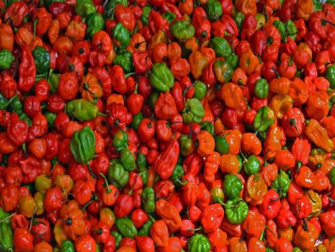 Chillies (%!s(<nil>)) -