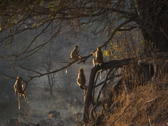 Early morning meeting (%!s(<nil>)) -