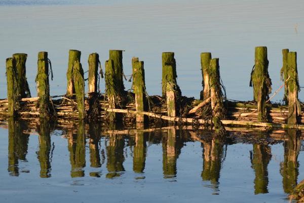 Groyne (%!s(<nil>)) - 