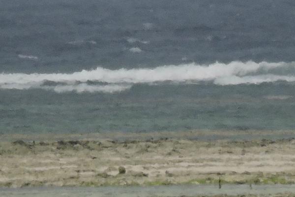 Pictorial Seascape (%!s(<nil>)) - 