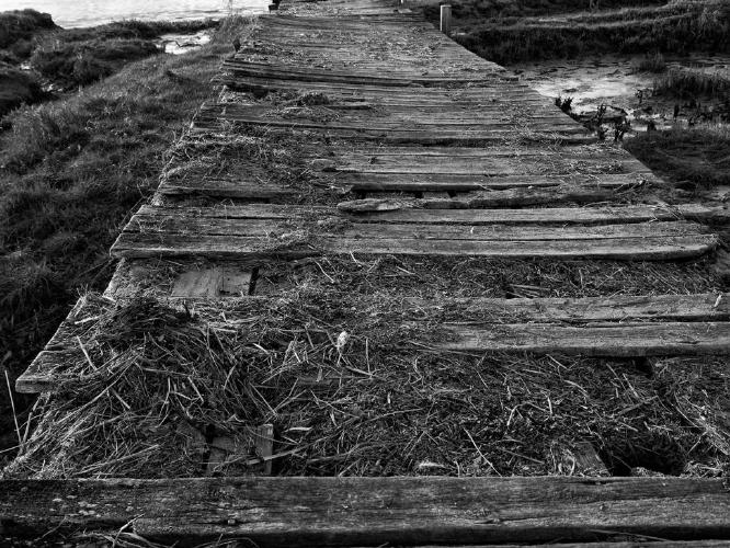 Trip Hazard (%!s(<nil>)) -