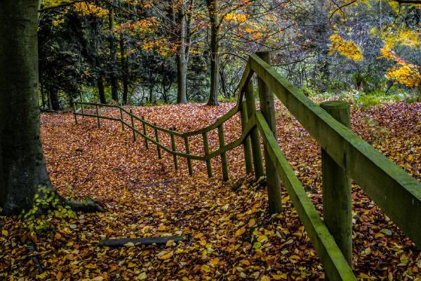 Autumn at Arga Fen (%!s(<nil>)) - 