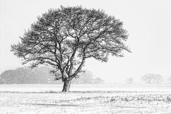 Winter comes to Frinton (%!s(<nil>)) - 