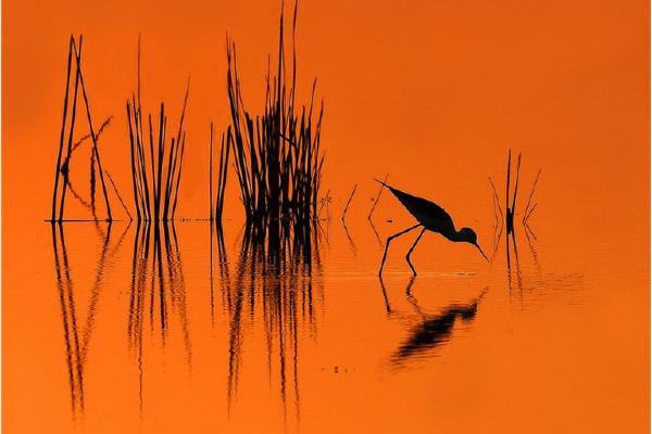 Sunset on the lake (%!s(<nil>)) - 