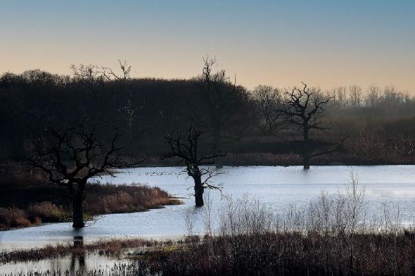 Sunset at Abberton (%!s(<nil>)) - 