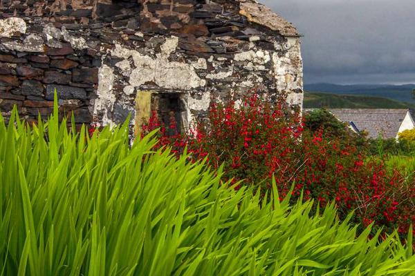 Easdale Derelict Cottage (%!s(<nil>)) - 