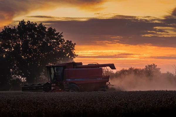 Harvesting at Sunset (%!s(<nil>)) - 