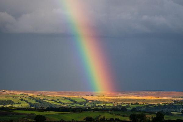 Rainbow at Dusk (%!s(<nil>)) - 
