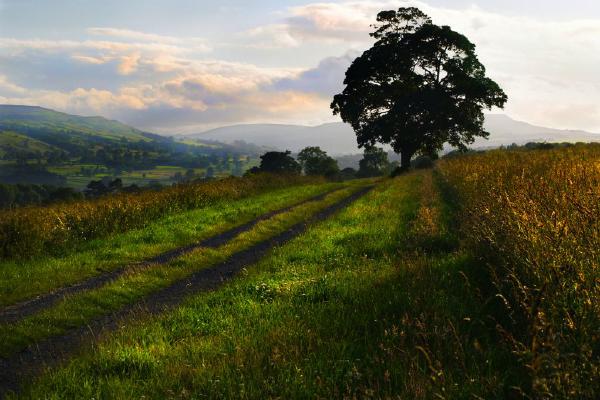 Yorkshire Dusk (%!s(<nil>)) - 