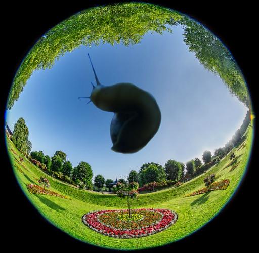 Absurdity Witness (%!s(<nil>)) - 