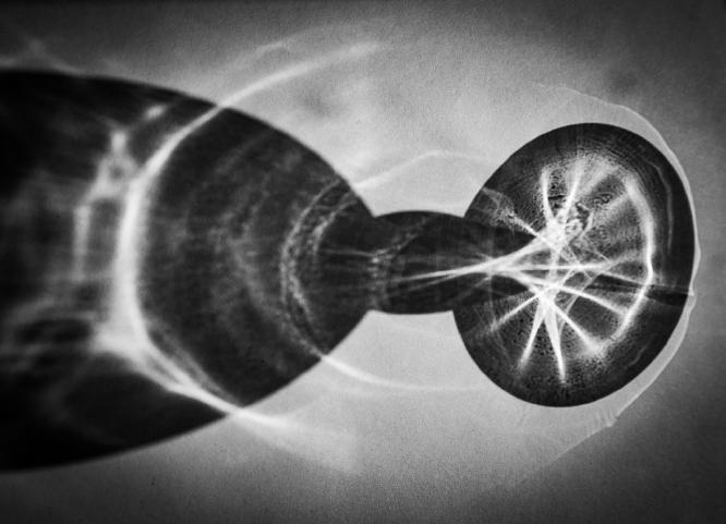 Glass Shadow (%!s(<nil>)) - 