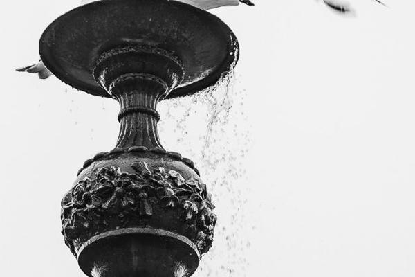 Gull Fountain (%!s(<nil>)) - 