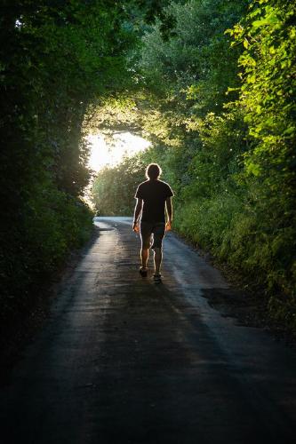 Into The Twilight (%!s(<nil>)) - 