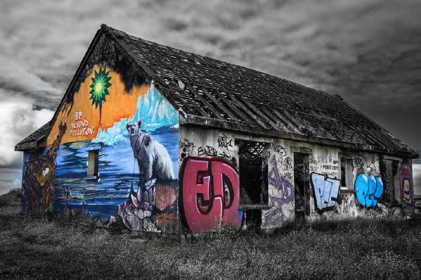 Bringing Life To Decay (%!s(<nil>)) - 