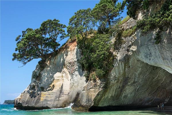 Cathedral Cove (%!s(<nil>)) - 