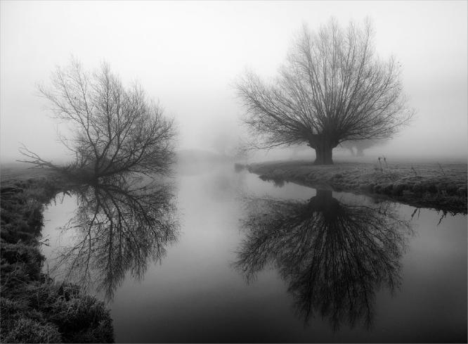 Early Morning Mist (%!s(<nil>)) - 