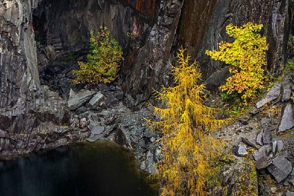 Hodge Close Quarry (%!s(<nil>)) - 