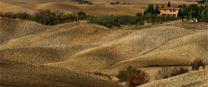 Tuscan Undulations (%!s(<nil>)) - 