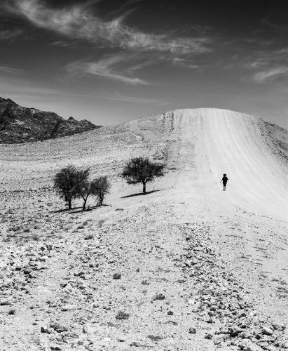 Determined Lady (%!s(<nil>)) - 