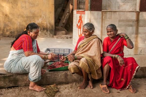 Hot Red Chilli Peppers in Mumbai (%!s(<nil>)) - 