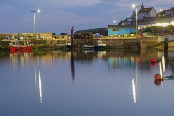 Spot The Heron (%!s(<nil>)) - 