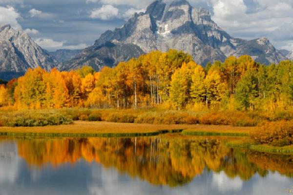 Oxbow Bend (%!s(<nil>)) - 
