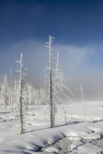 Yellowstone Winter (%!s(<nil>)) - 
