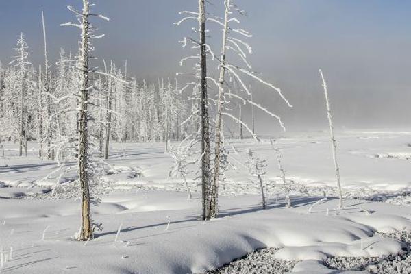 Yellowstone Winter (%!s(<nil>)) - 