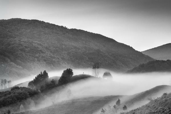 Early morning mist Apuseni Mountains Romania (%!s(<nil>)) - 