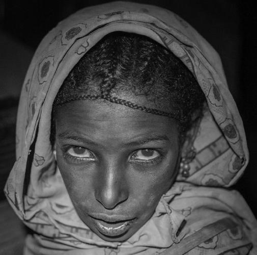 Shot in the Dark (%!s(<nil>)) -