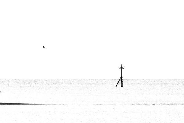 Early Morning View from the Beach (%!s(<nil>)) - 