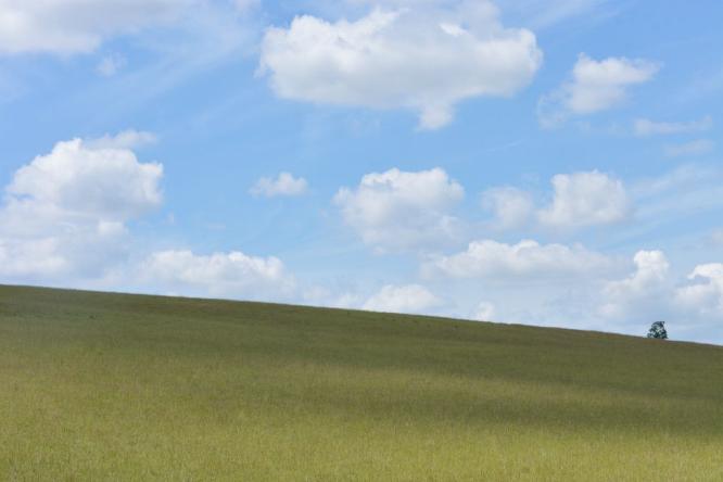 Essex View - Alex Tyler (%!s(<nil>)) -