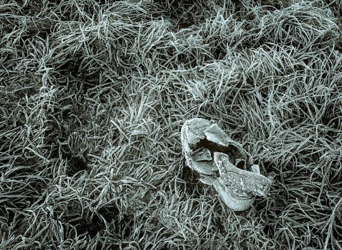 Frozen and Abandoned (%!s(<nil>)) -