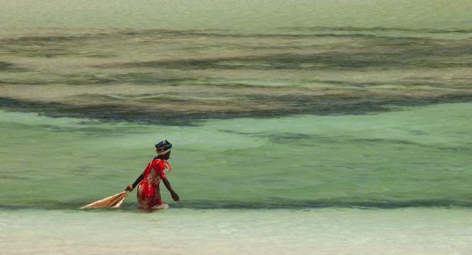 Gathering Natures Bounty (%!s(<nil>)) -