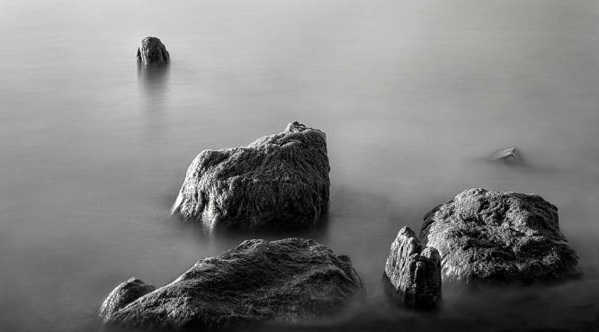 In The Morning Light (%!s(<nil>)) -