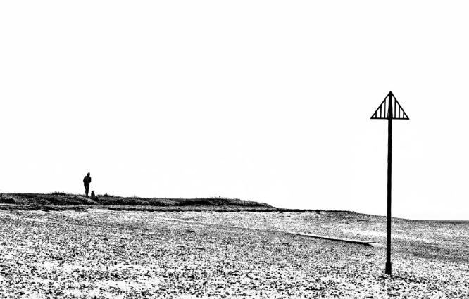 The Girl and her Dog on the Sea Wall (%!s(<nil>)) -