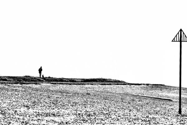 The Girl and her Dog on the Sea Wall (%!s(<nil>)) - 