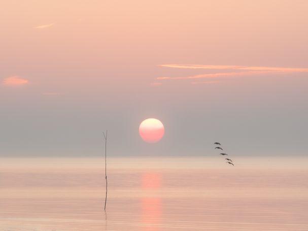 Tranquil Sunrise (%!s(<nil>)) -