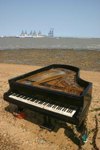 Serenade to the Seas (%!s(<nil>)) -