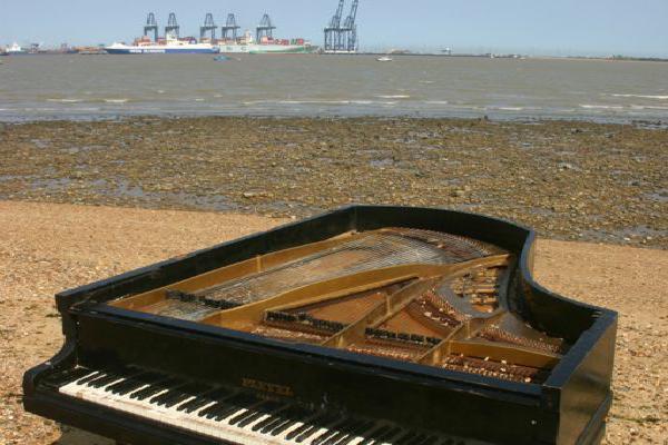 Serenade to the Seas (%!s(<nil>)) - 