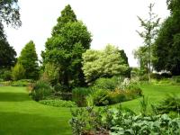 Michael Foster - IMG (0396)