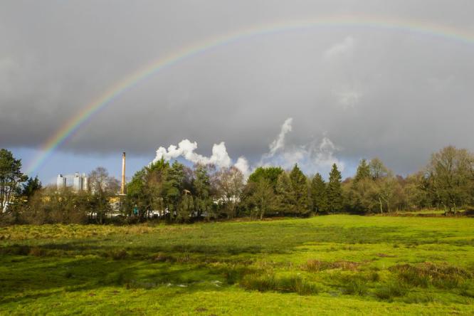 Rainbow (%!s(<nil>)) - 
