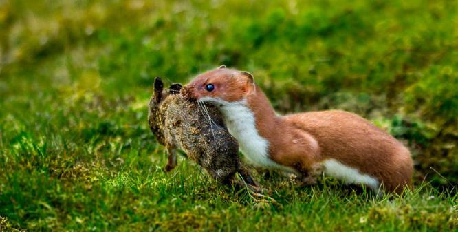 Leaving the scene of the crime (%!s(<nil>)) -